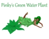 Pinkys Green Water Plant