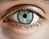 My Eyes M+F 2021