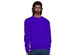 Sweater purple man Miel