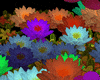 Flowers animation effect