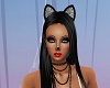 Kitty Cat Set