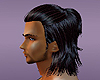 Stain Hair Warrior
