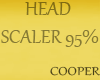 !A HEAD SCALER 95%