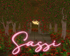 Romantic Rose Garden