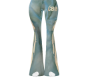 F. CBO BLUE 2/2