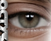 O_ LATYEL ASTERI EYES