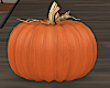 Fall Pumpkin Deco