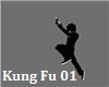 Kung Fu actions 01