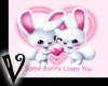 -V- Some bunny loves you