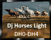 *Dj Horses Light