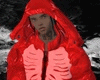 Puff Jacket Hood