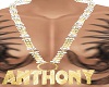 [KL]Anthony Chain