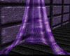 +m+ purple curtains
