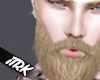 ♚ Viking Beard ♚