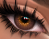 Eyes Honey