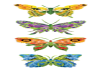 4 butterflies