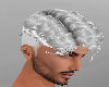 *Snow* Silver Hair #06