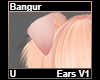 Bangur Ears V1