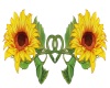 *M* Sunflower banner