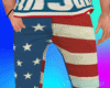 4th Of July Pant