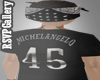 Michelangelo 45