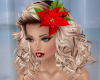 Amber Blonde Poinsettia