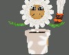 PLANT PET DAISY