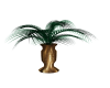 Tall Potted Palm