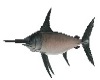 Sword Fish 