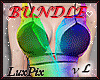 Bundle*Rainbow*vL