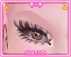 ✿ My Brows