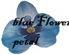 blue flower petal