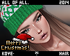 Christmas Toddy