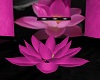 Pink Lotus seat