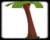 LXX Coconut Tree