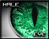 [SLW] Emerald Feline