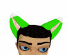 Green and white male ear