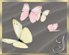 Butterflies~ Animated