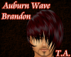 Auburn Wave~Brandon