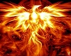 Flames of The Phoenix