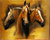 :) Horses Picture