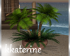 [kk] Tropic Love Plant