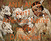 *RF*DJRaph-AmericNat p1