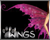 Fae Wings Pink