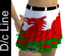Wales Lacoste Mini skirt