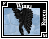 Raven Arm Wings