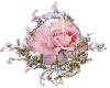 pink sparkle rose