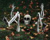 Death-Skeleton-Again