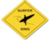 Surfer xing Sticker