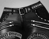 Hot Leather Biker Pant F